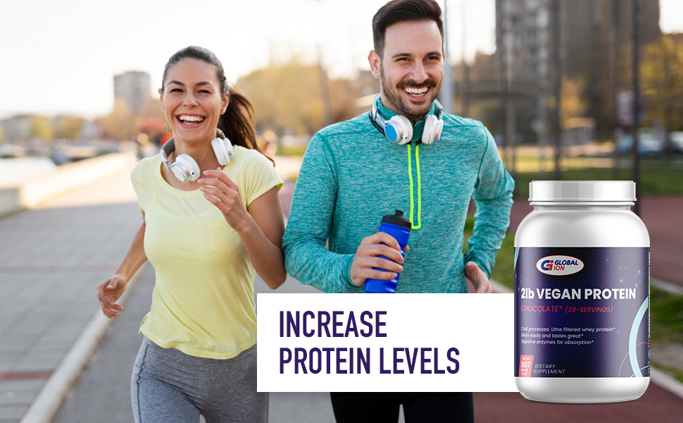 Global Ion Vegan Protein Chocolate