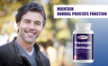 Global Ion Prostate Formula